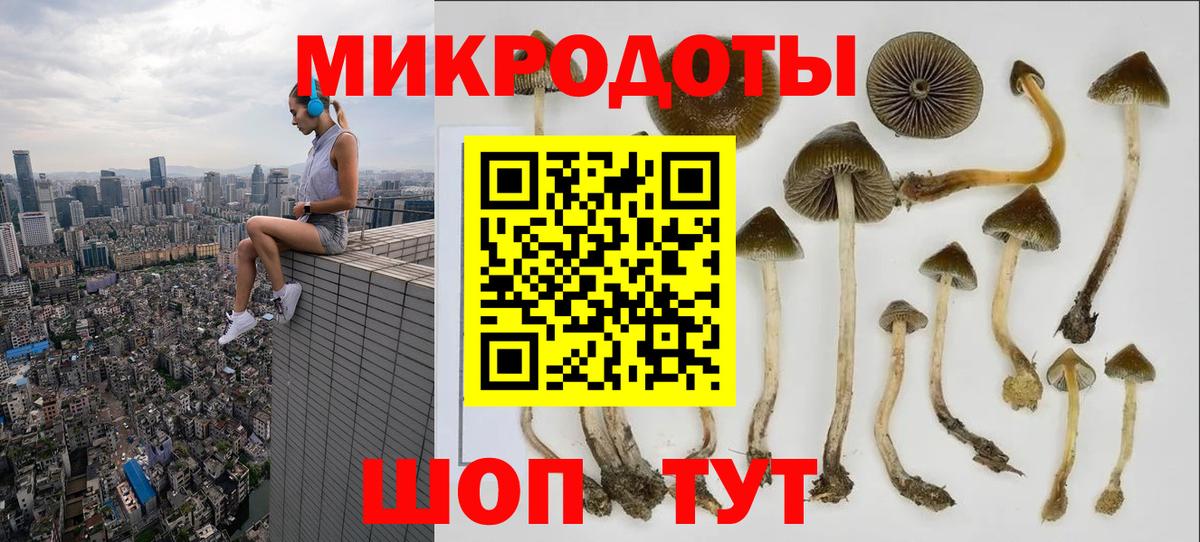 Галлюциногенные грибы мухоморы Тула