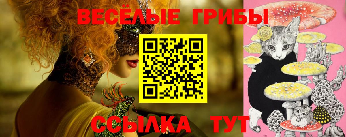 Тула  наркотики  Псилоцибиновые грибы мицелий  Вход с VPN  Псилоцибиновые грибы Psilocybine cubensis 
